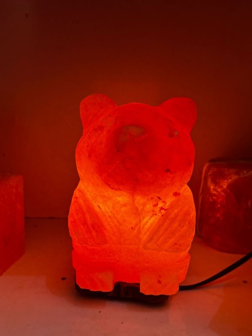 Himalayan Bear Salt Lamp